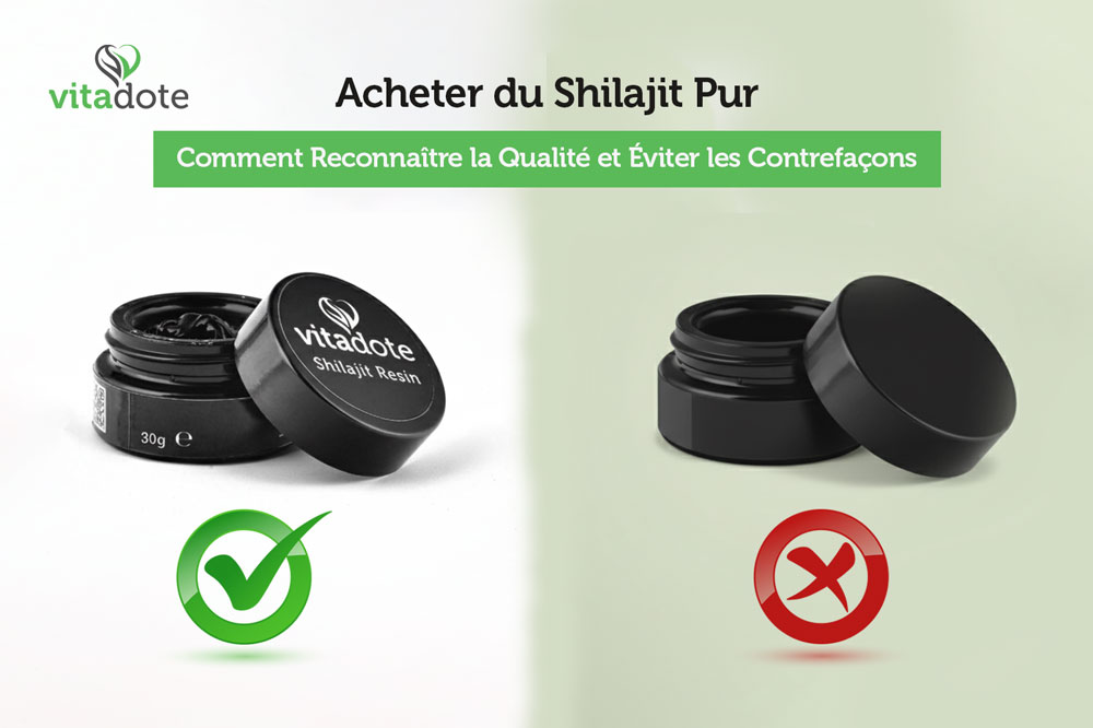 Acheter du Shilajit Pur : Comment Reconnaître la Qualité et Éviter les Contrefaçons