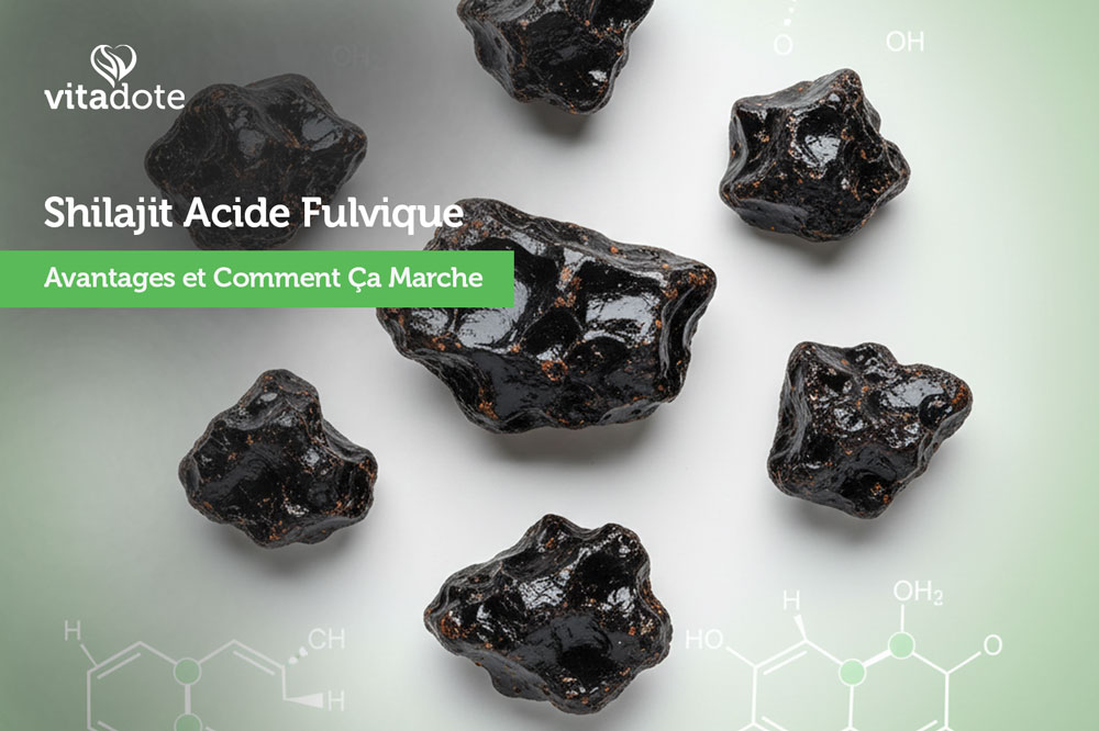 Shilajit Acide Fulvique : Avantages et Comment Ça Marche