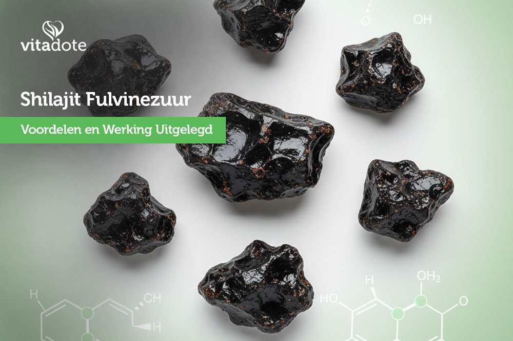 Shilajit Fulvinezuur: Voordelen en Werking Uitgelegd