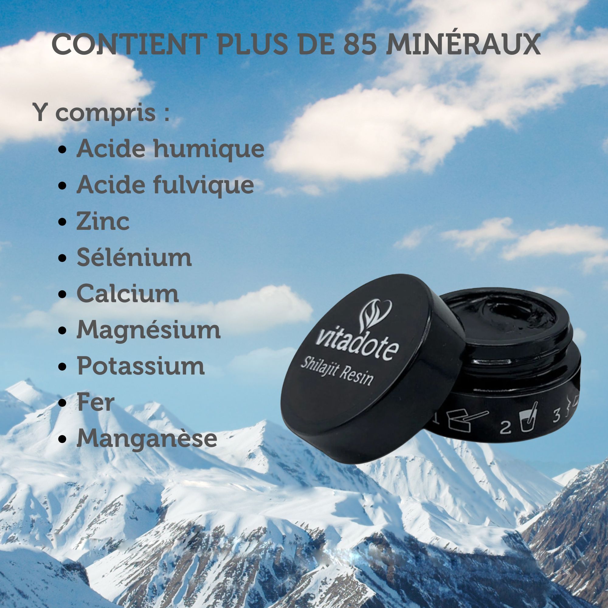 Ingrédients de la résine Vitadote Shilajit